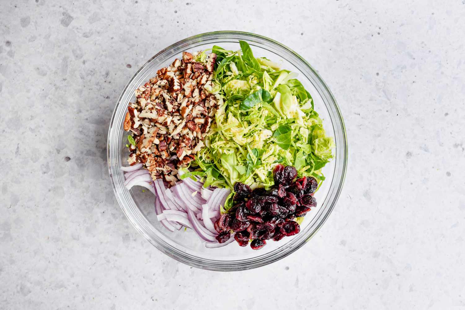 Shredded Brussels Sprouts, Dried Cranberries, Onions, and Toasted Coconuts in a Bowl for Brussels Sprouts Slaw Recipe 