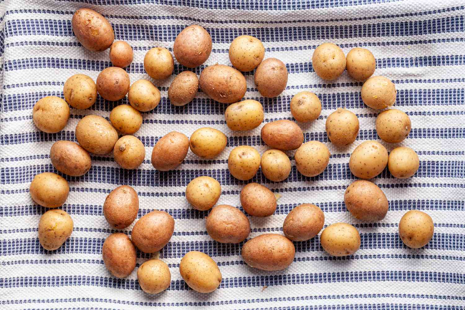 Pommes de terre bouillies séchant sur un torchon pour la recette des pommes de terre écrasées