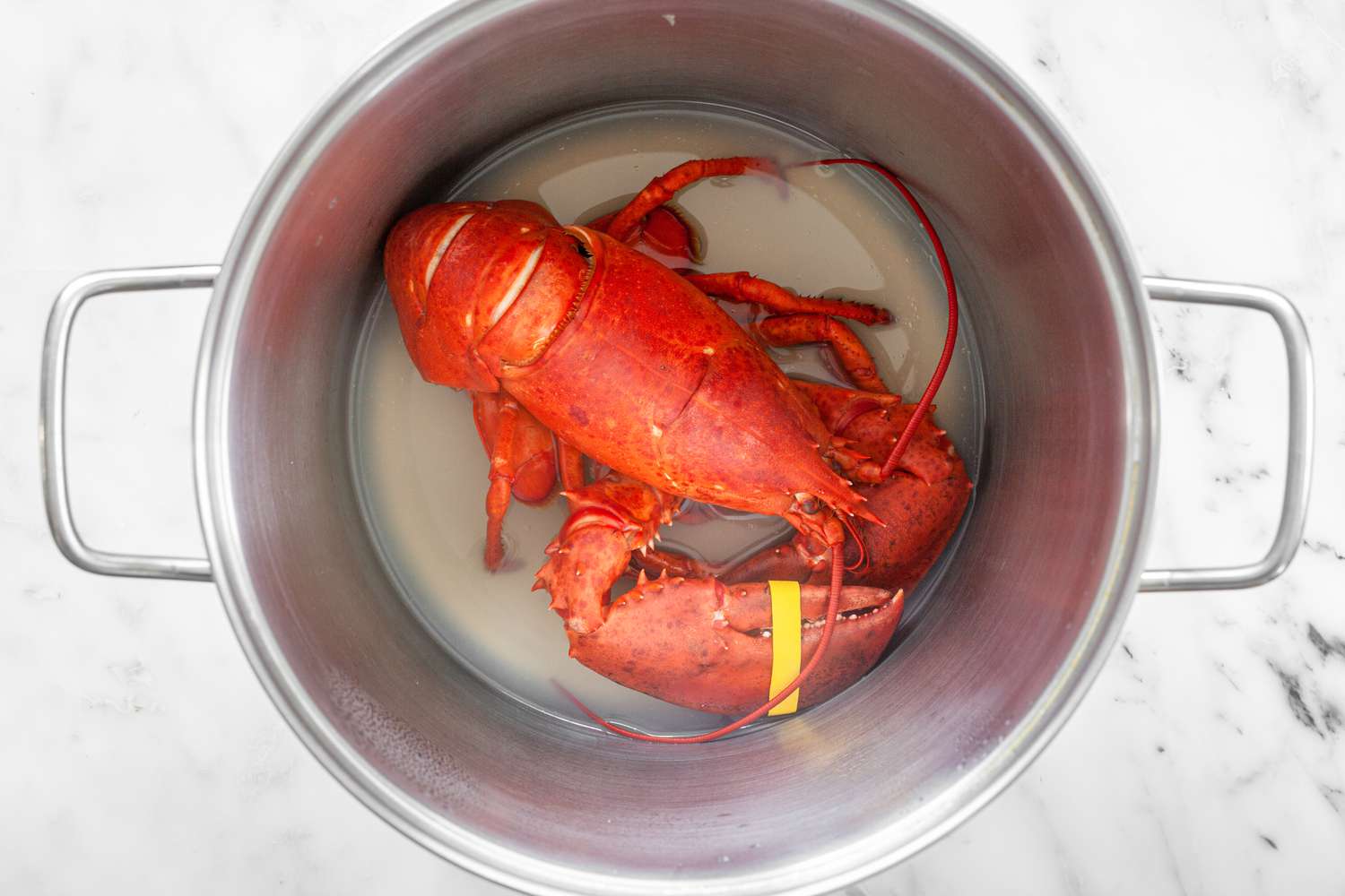 Homard cuit à la vapeur dans une casserole pour la recette de bisque de homard