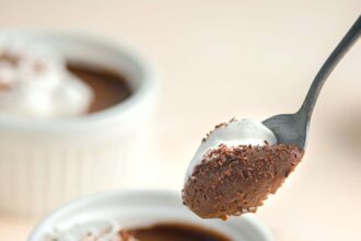 La Mousse au Chocolat à Un Ingrédient que Toute ma Famille Peut Savourer en Un Instant